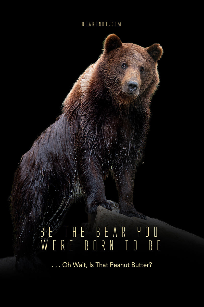 Be The Bear Digital Print